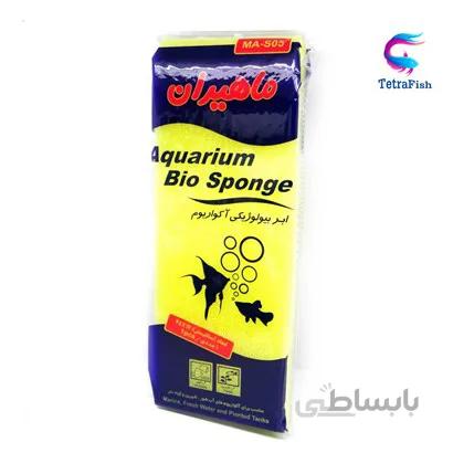 ابر بیولوژیکی ماهیران 05