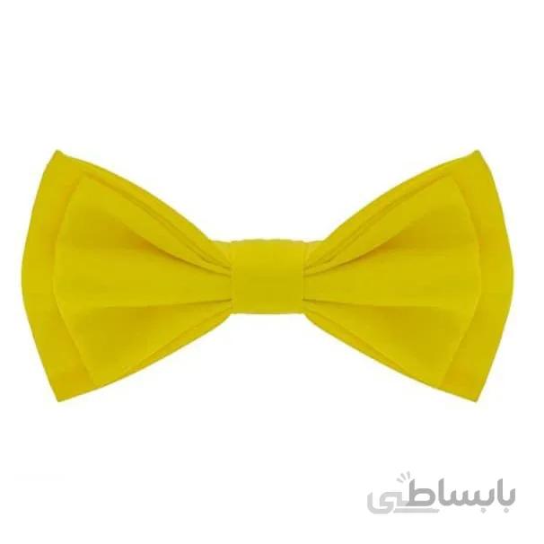 پاپیون بزرگسال جعبه ای سیاچآر