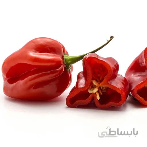 بذر فلفل هابانرو قرمز