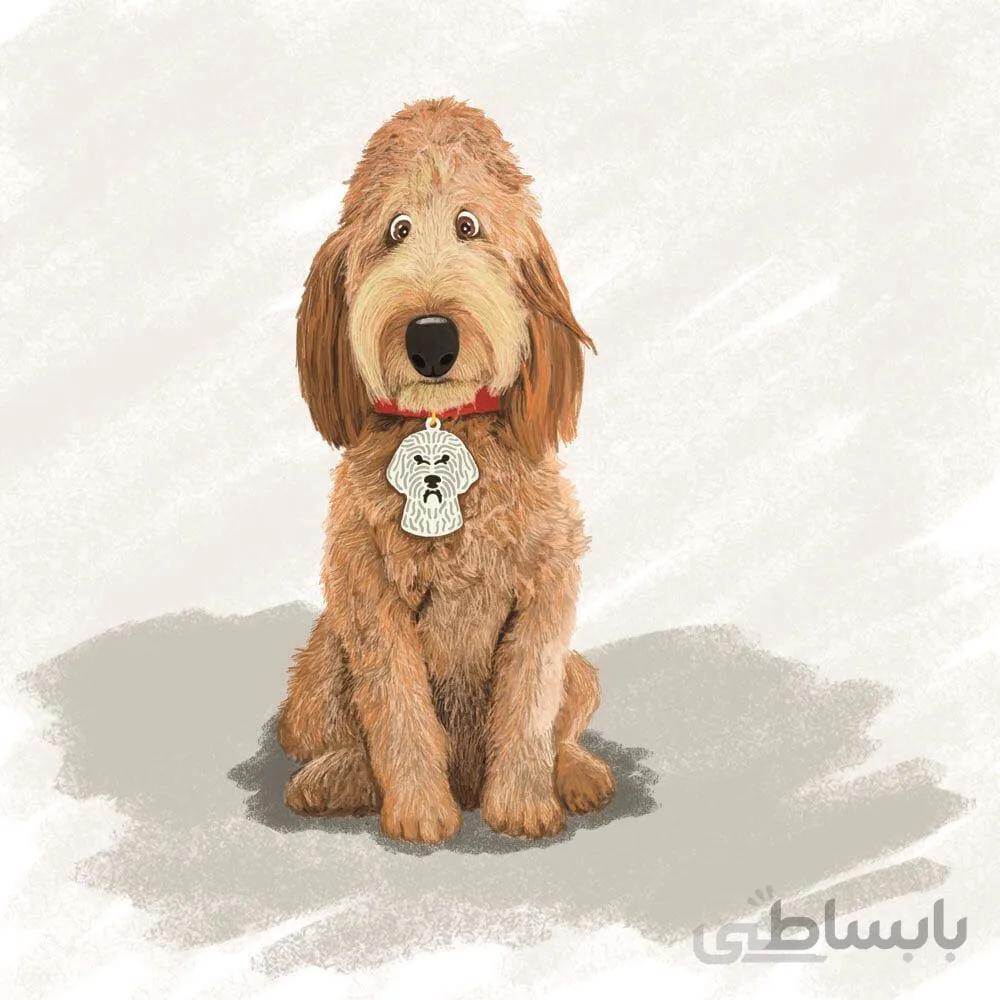 آویز قلاده استیل طرح سگ نژاد ۹ کد CD-09 ا Steel Tag Dog Breed 9 Model CD-09