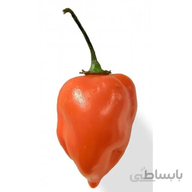 بذر فلفل قلبی نارنجی بسته ۵۰ عددی
