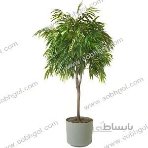 بنجامین آمستل B03 ( ارسال رایگان )