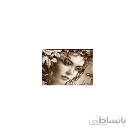 نخ و نقشه آموزشی تابلو فرش کد 27