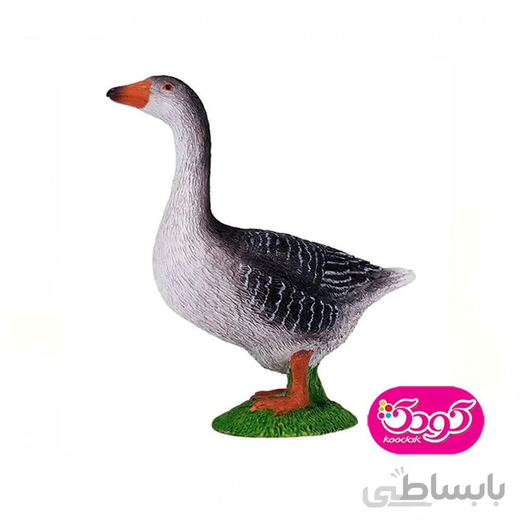 غاز سیاه 381039 – حیوانات موجو