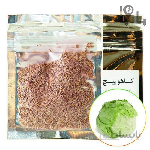 بذر کاهو پیچ کشاورزی فراز 25 گرمی