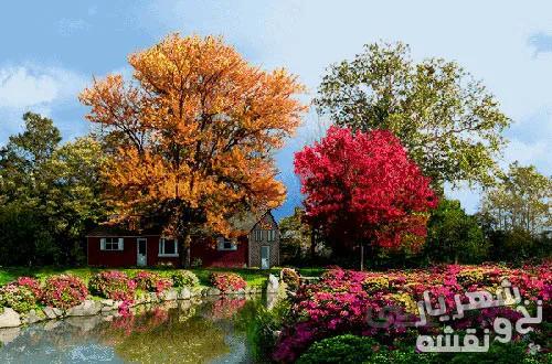 نخ و نقشه تابلو فرش منظره زیبای پاییزی و کلبه کد 92575