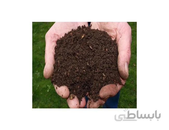 پیت ماس Sphagnum