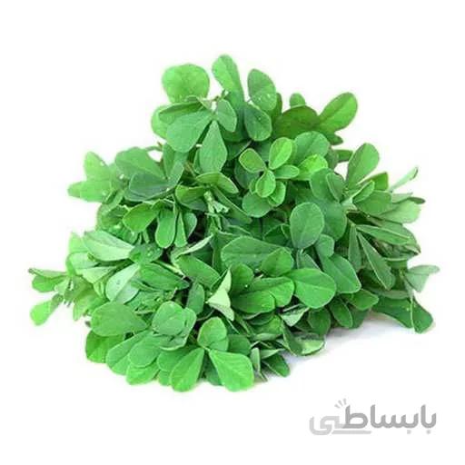 بذر یونجه