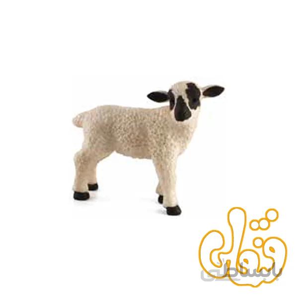 بره ایستاده صورت سیاه Black Faced Lamb Standing 387059