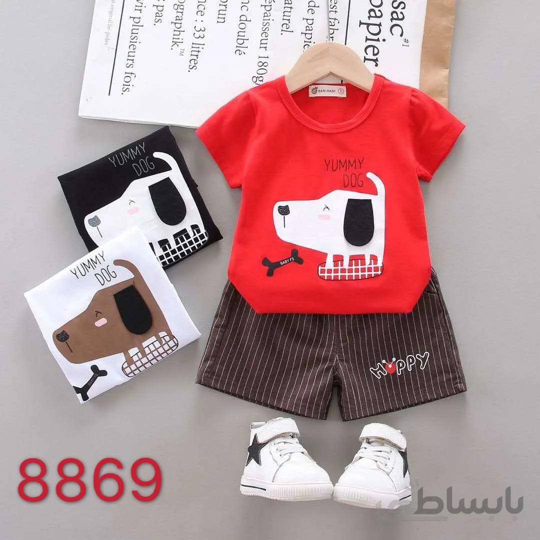 ست تیشرت شلوارک هاپو کد:1045