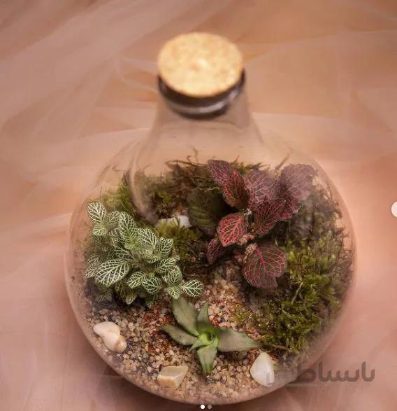 تراریوم پوپک ( یه کار فوق العاده زیبا )