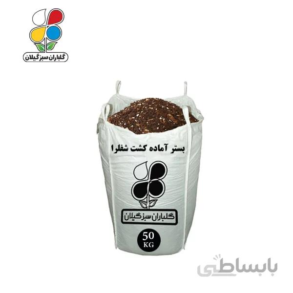 بستر آماده کشت شفلرا عمده 50 کیلویی