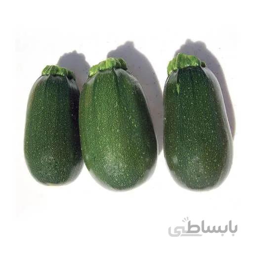 بذر کدو سبز تیره بیضی