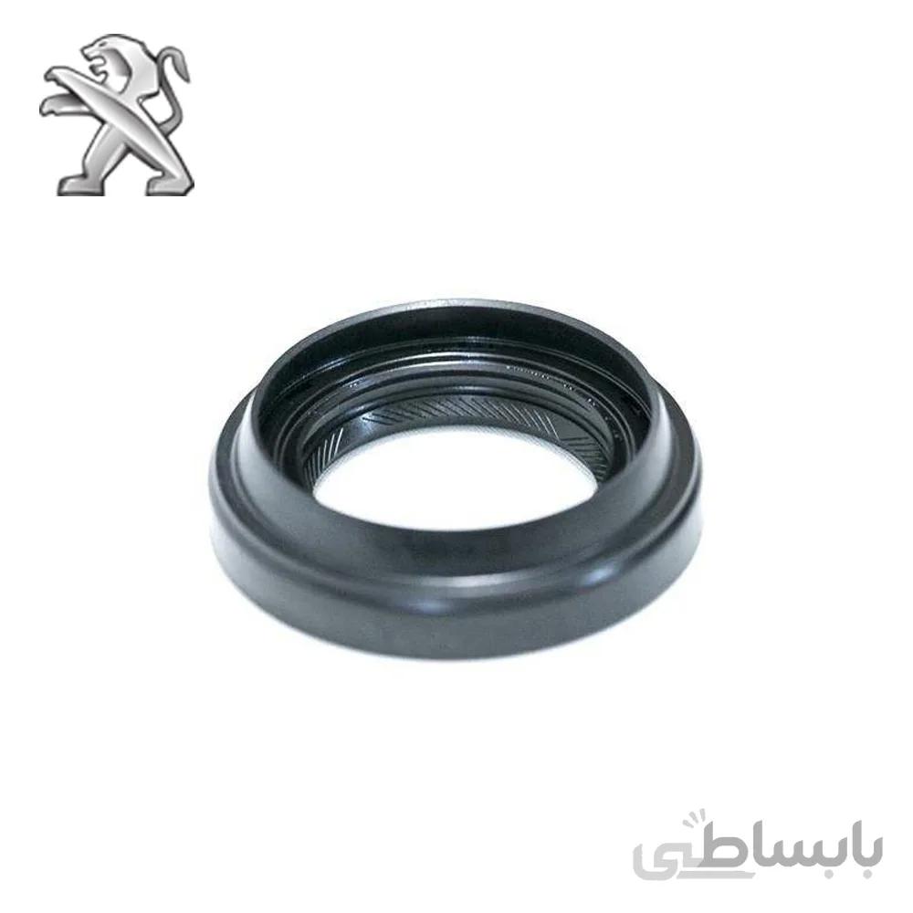 کاسه نمد پلوس پژو 206