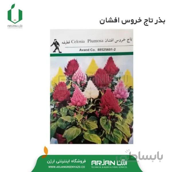 بذر تاج خروس افشان 1 گرمی