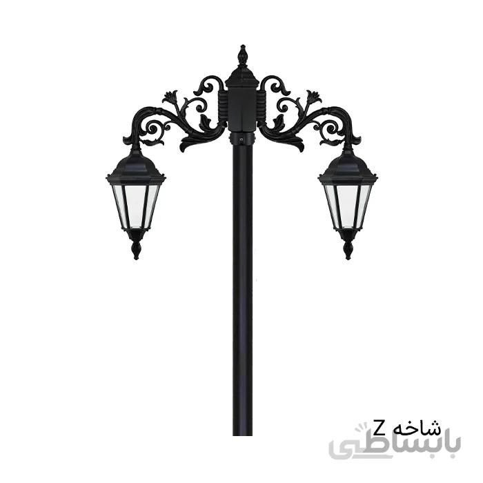 رومی دوشاخه