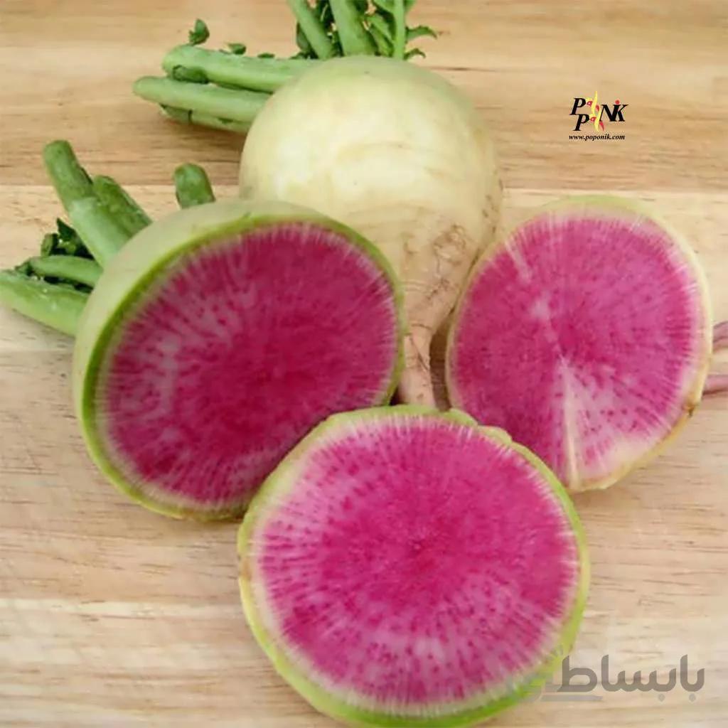 بذر ترب گوشتی قرمز چینی