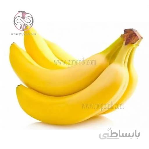 نهال موز سومالیایی