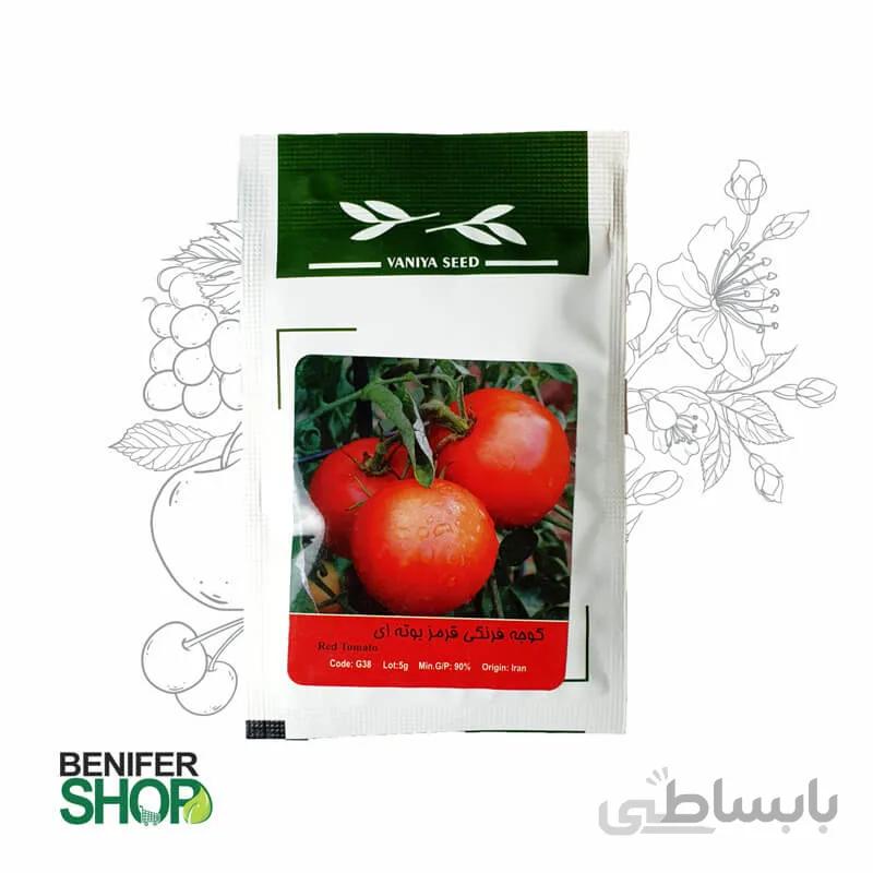 بذر خانگی گوجه فرنگی قرمز بوته ای