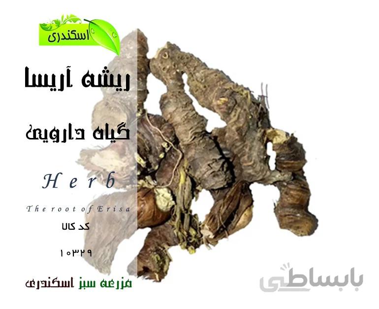 ریشه ایرسا