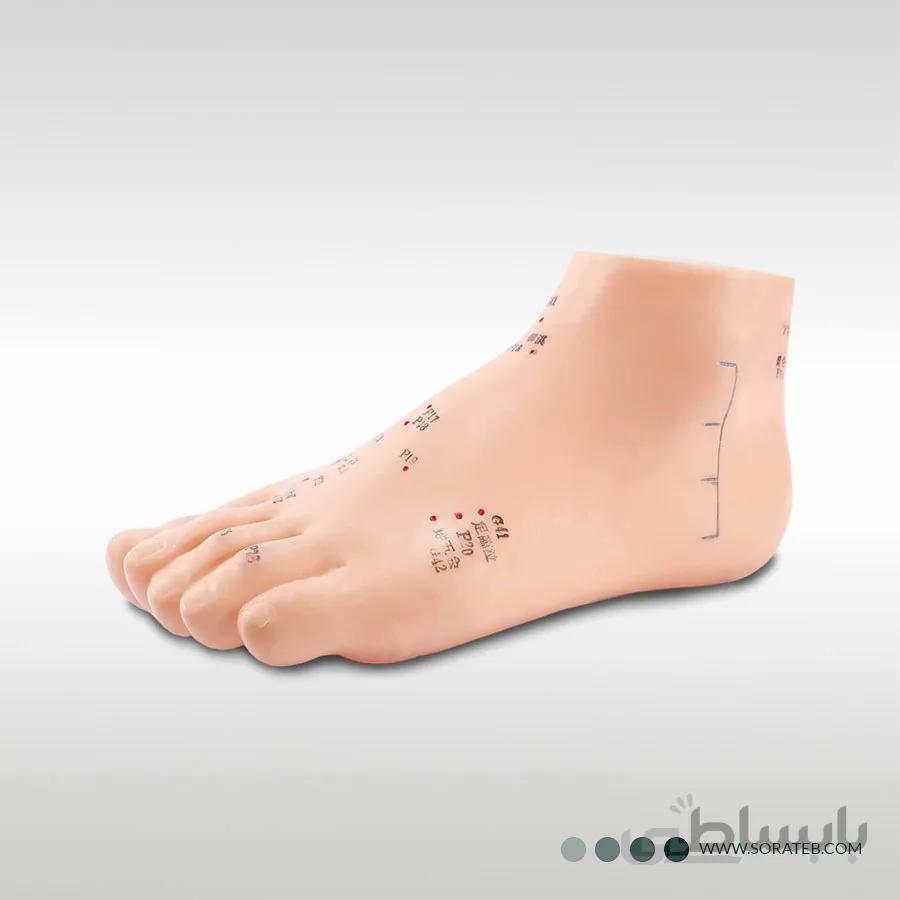 مولاژ طب سوزنی پا