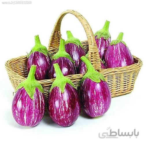 بذر بادمجان مینیاتوری بنفش تایگر