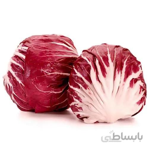 بذر شیکوری قرمز گرد