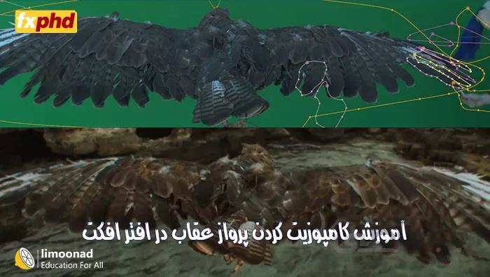 دوره آموزش کامپوزیت کردن پرواز عقاب در افتر افکت