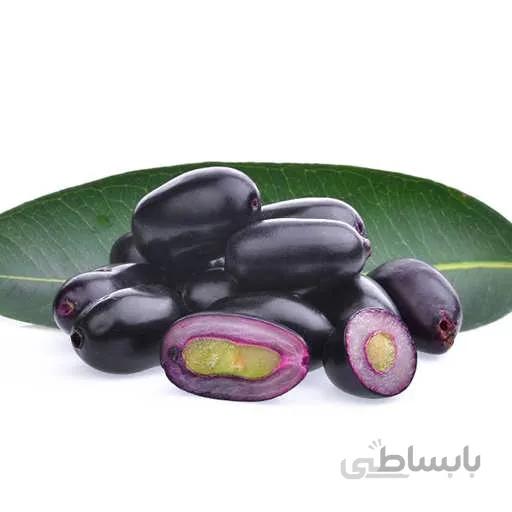 بذر درخت جمبو