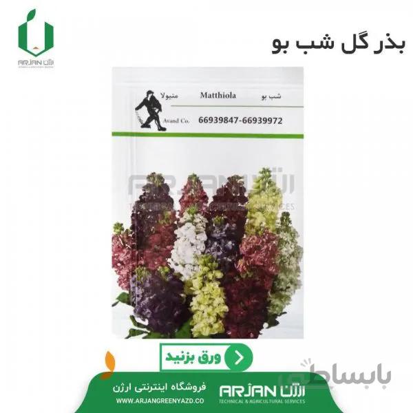 بذر گل شب بو