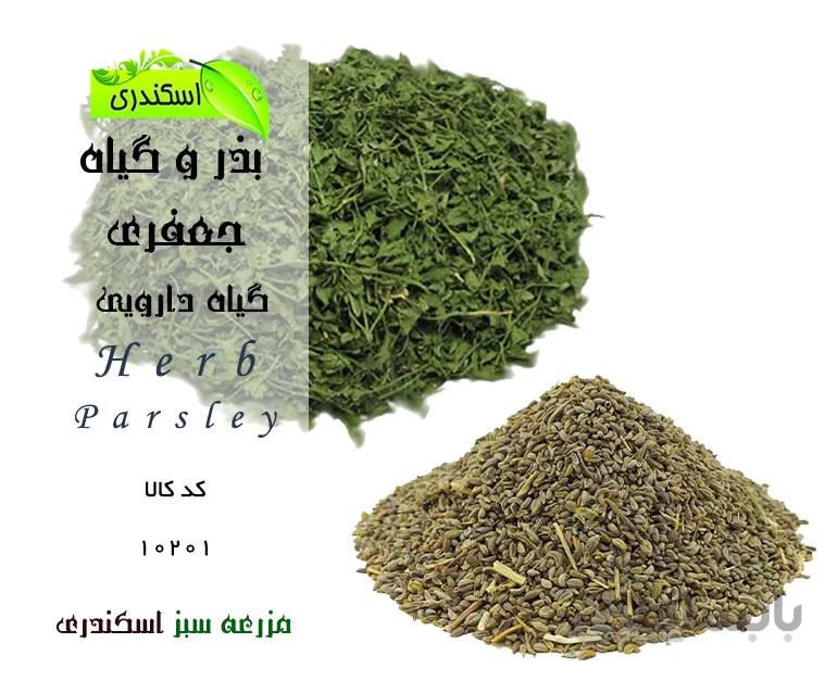 بذر و گیاه جعفری