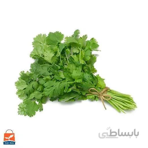 بذر گشنیز کد 360911