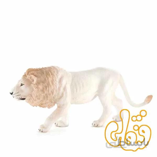 شیر نر سفید White Male Lion 387206