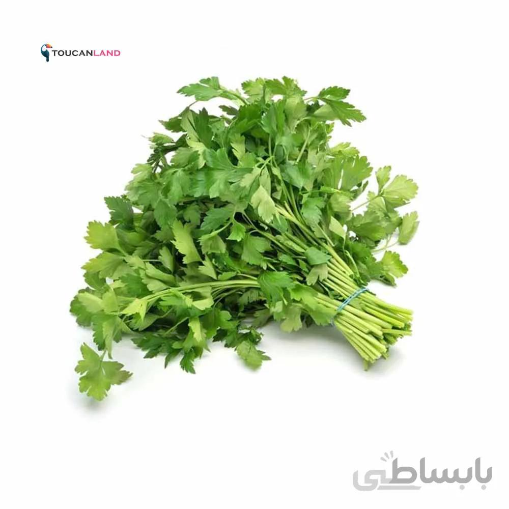 بذر جعفری کد 331289