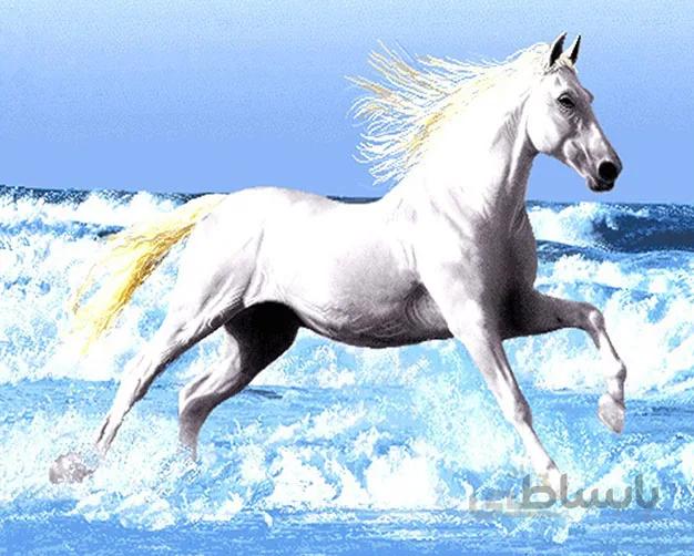 نخ و نقشه تابلو فرش اسب - 1312