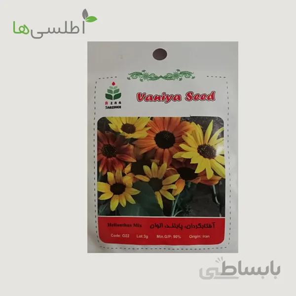 بذر آفتابگردان زینتی