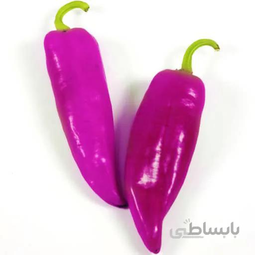 بذر فلفل کاپی ارغوانی