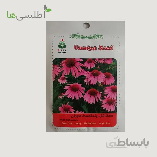 بذر سرخارگل اکیناسه