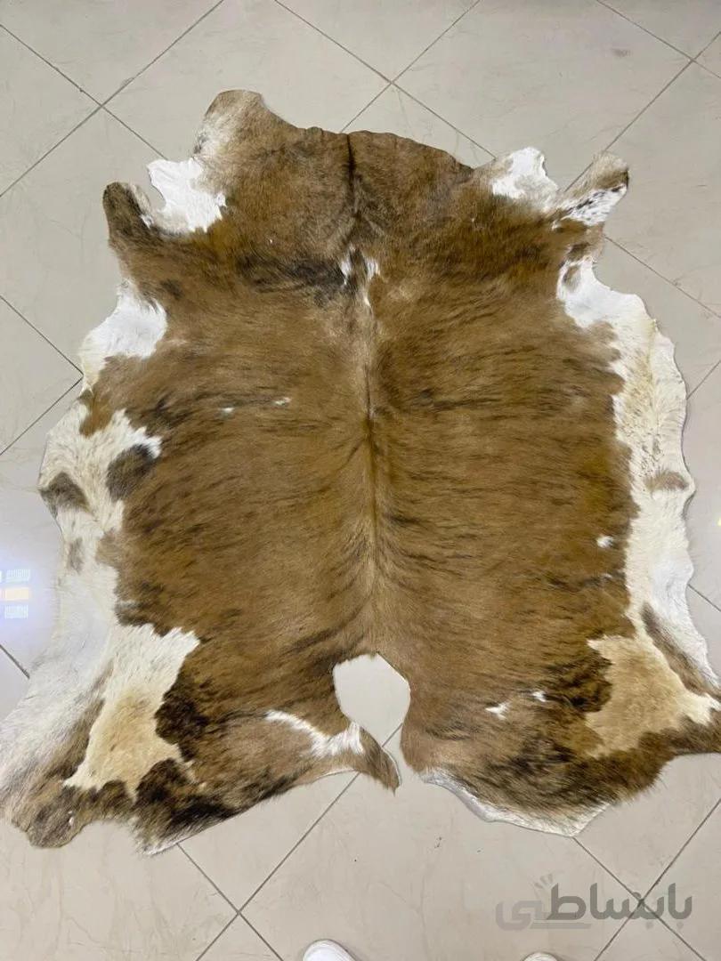 پوست طبیعی گاو تزنیِِینی 19 پایی ا cow skin