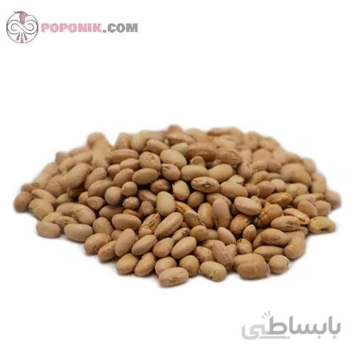 آجیل سویا