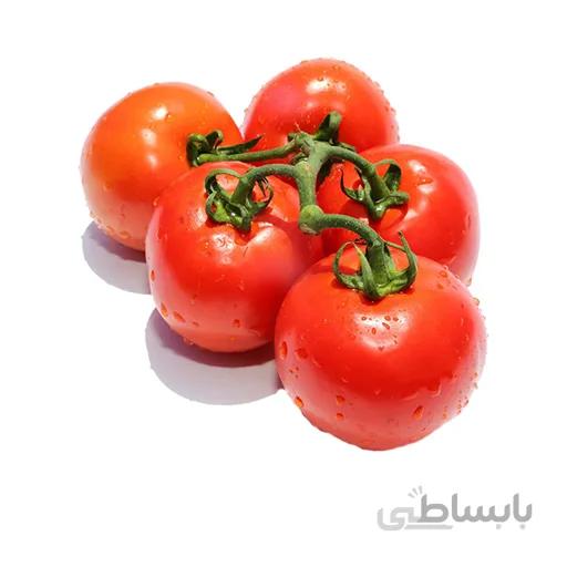 بذر گوجه گیلاسی واشنگتن