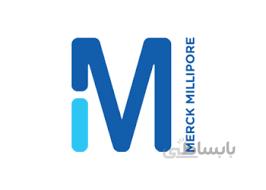 بتا الانین