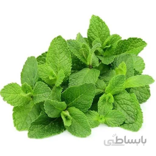 بذر نعنا دشتی