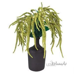 بذر گل آمارانتوس مجنون سفید ا amaranthus pony tails