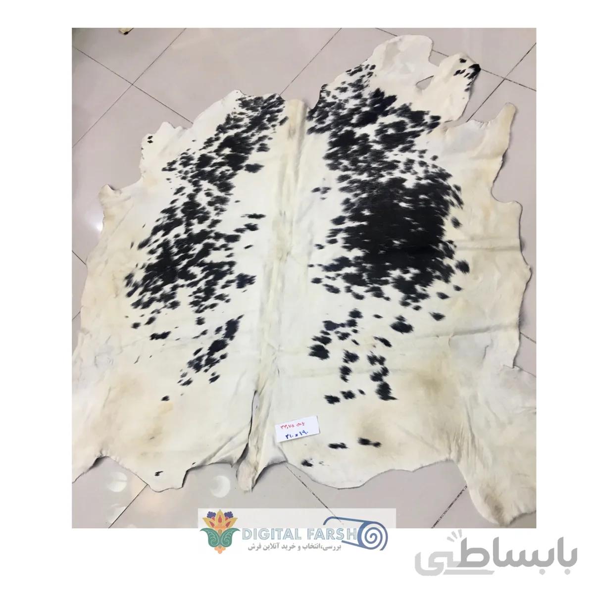 پوست طبیعی گاو تزنیِِینی 33.75 پا ا cow skin