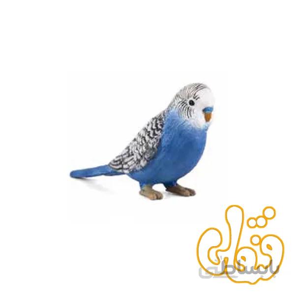 مرغ عشق آبی Budgerigar Blue 387292