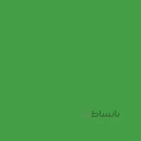رنگ اکریلیک 75ml وستا Fluorescent Green (116) -1001