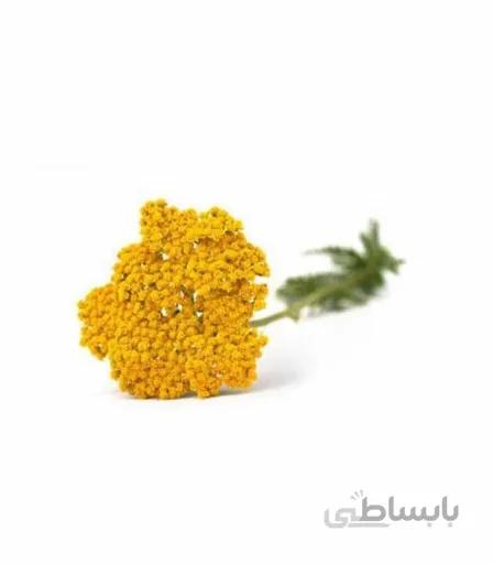 گل بومادران 100 گرمی