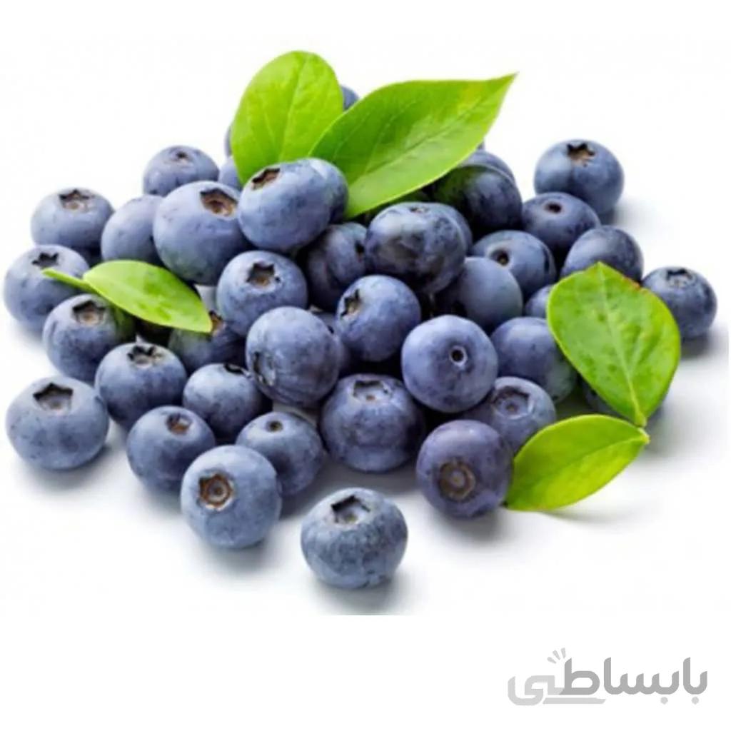 بذر بلوبری پایه بلند