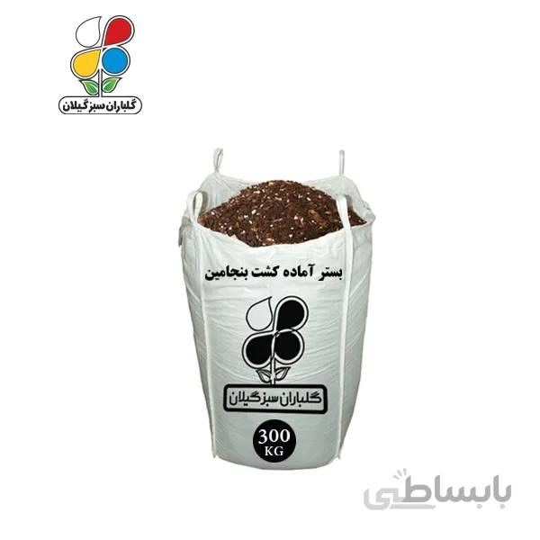 بستر آماده کشت بنجامین عمده 300 کیلویی